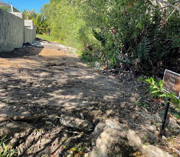 Photo of a backyard with the edge of a wall, dirt and vegetation.