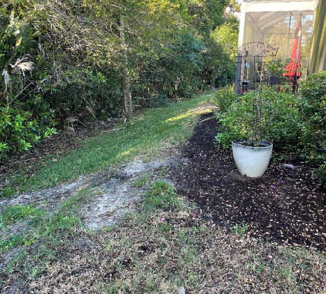 Photo of backyard with vegetation, grass, a potted plant and the edge of a lanai