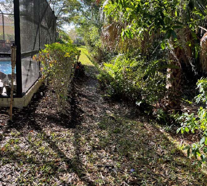 Photo of backyard with grass, edge of a lanai, row of hedges and vegetation