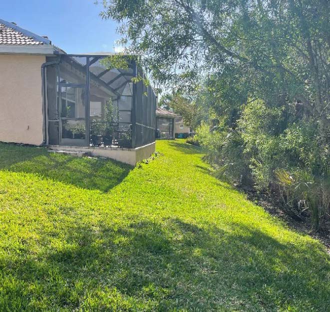 Photo of backyard with back of house, lanai, grass, and vegetation