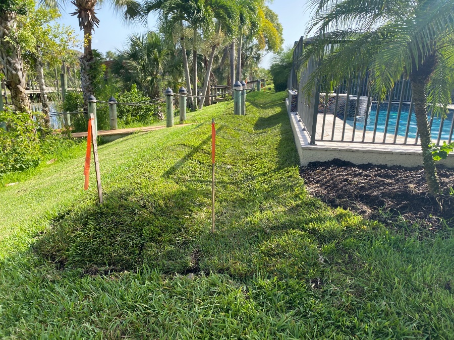 Photo of backyard with walkway, grass, edge of a pool deck, vegetation, and survey stakes